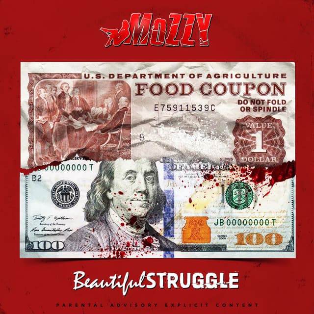 Beautiful Struggle cover