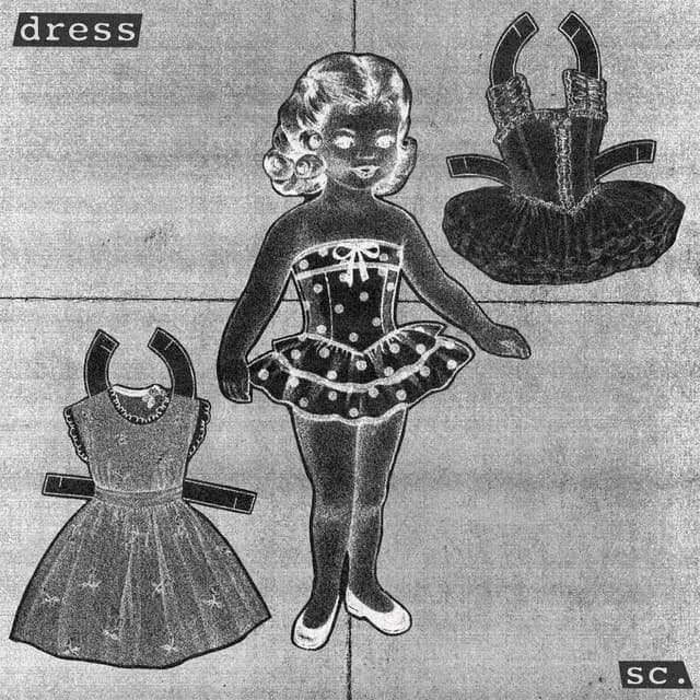 Dress cover