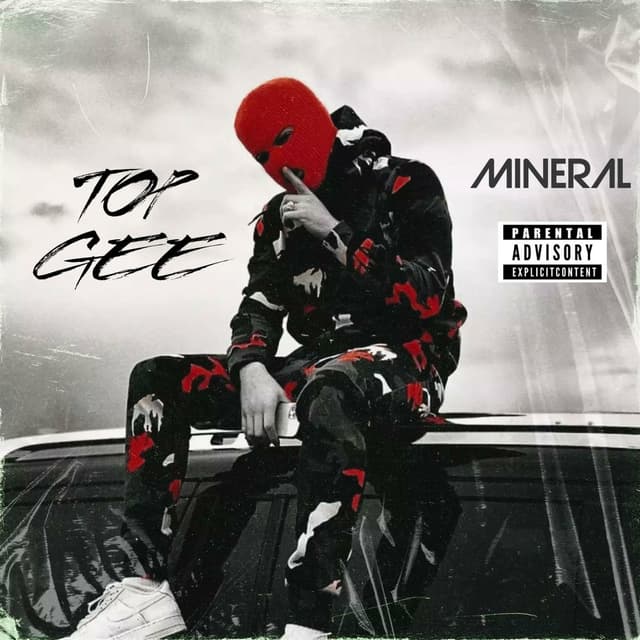 Top Gee cover