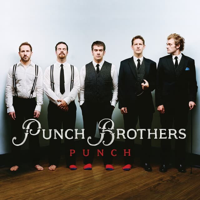Punch cover