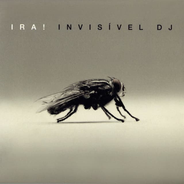 Invisível DJ cover