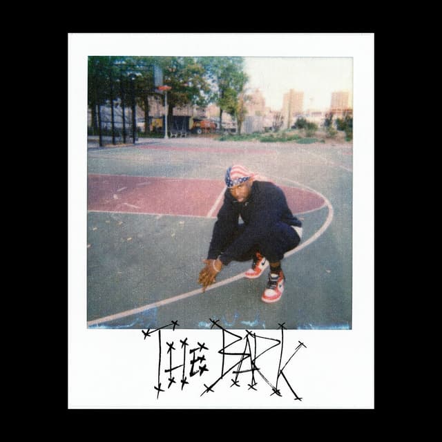 The Bark cover