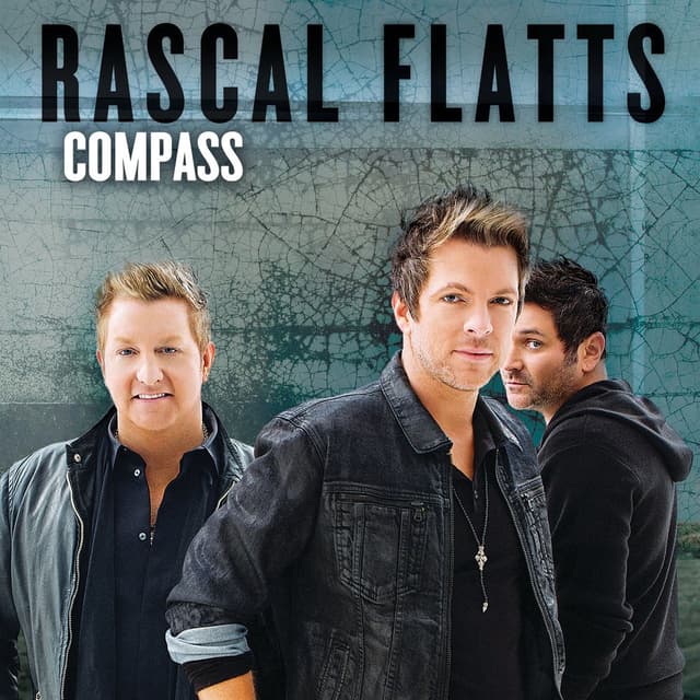 Compass cover