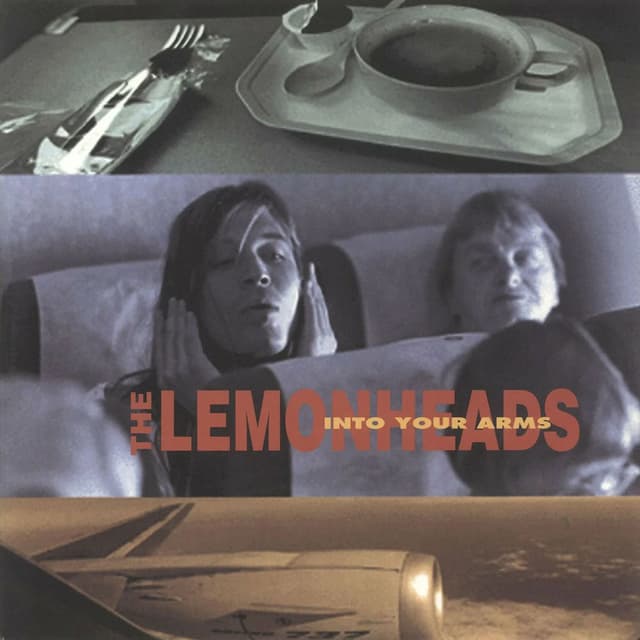 Into Your Arms album cover