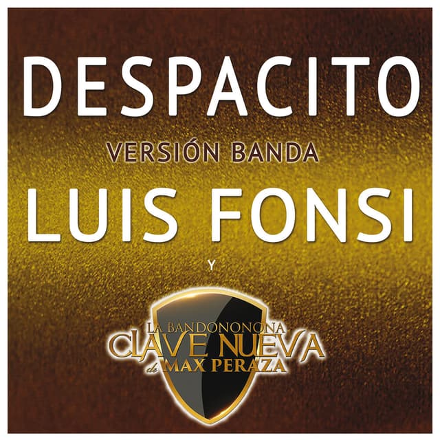 Despacito (Versión Banda) cover