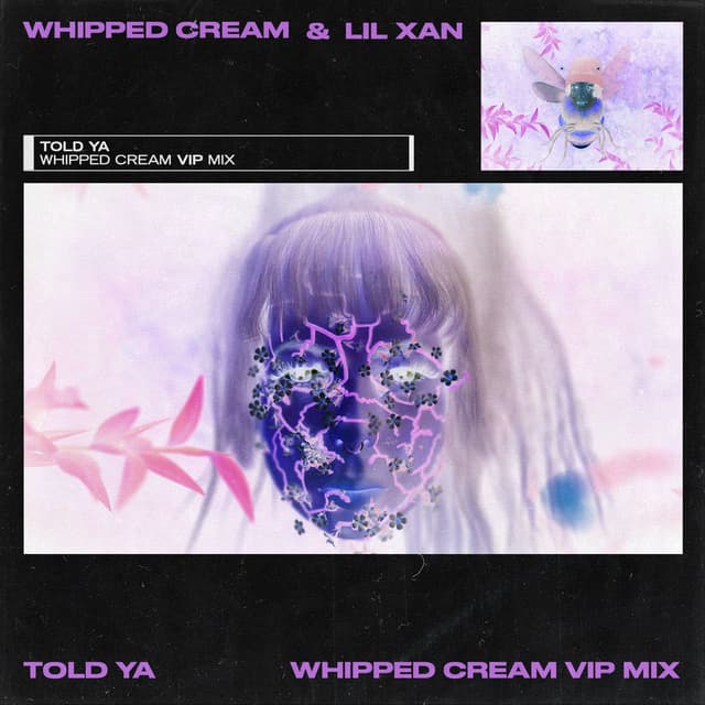 Told Ya (WHIPPED CREAM VIP MIX) cover