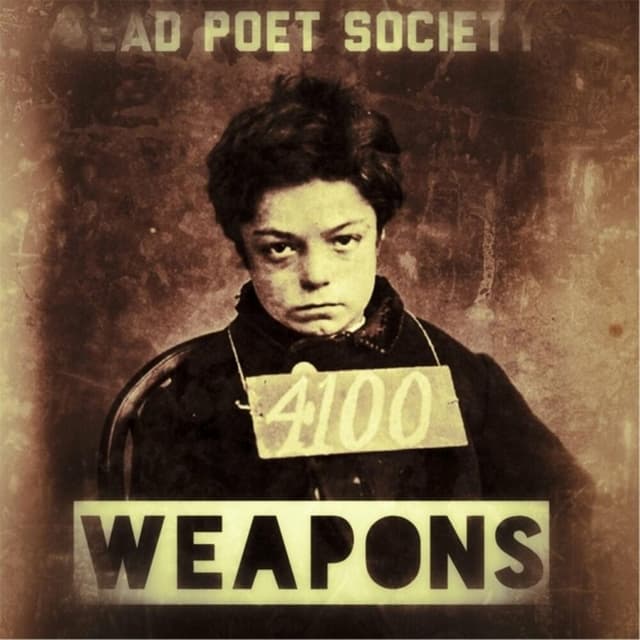 Weapons cover