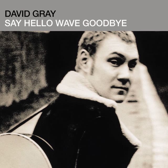 Say Hello, Wave Goodbye album cover