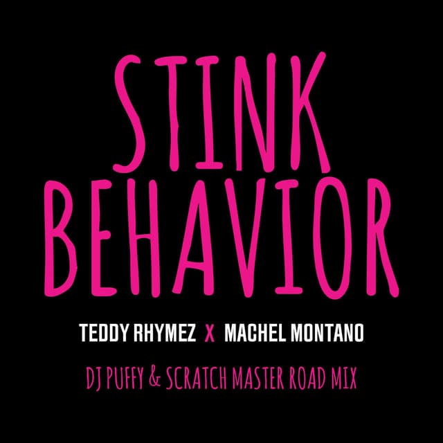 Stink Behavior (DJ Puffy & Scratch Master Road Mix) cover