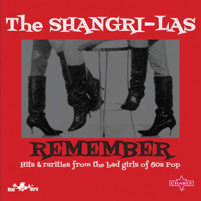 Remember (Hits and rarities from the bad girls of 60s pop) cover