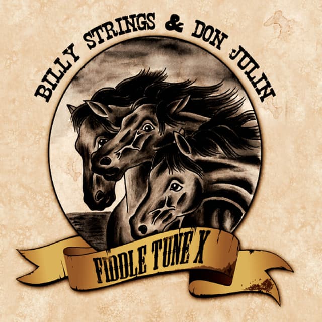 Fiddle Tune X album cover