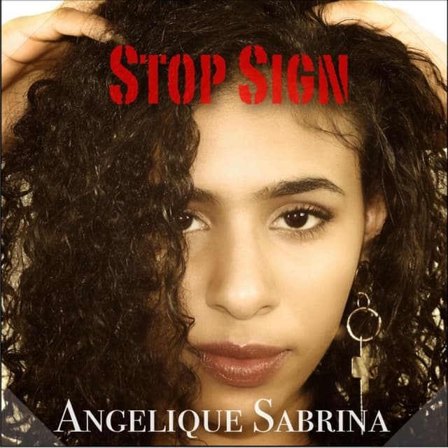 Stop Sign cover