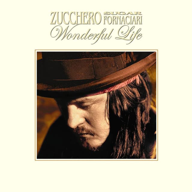 Wonderful Life cover