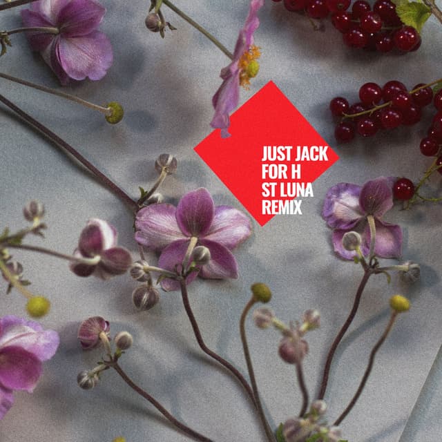 For H (ST LUNA Remix) cover