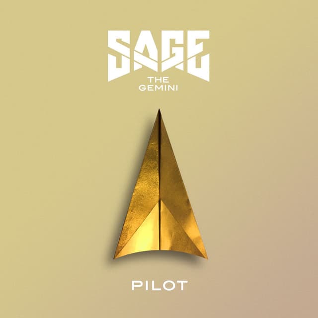 Pilot cover