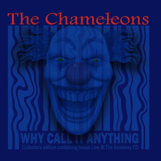 Why Call It Anything cover