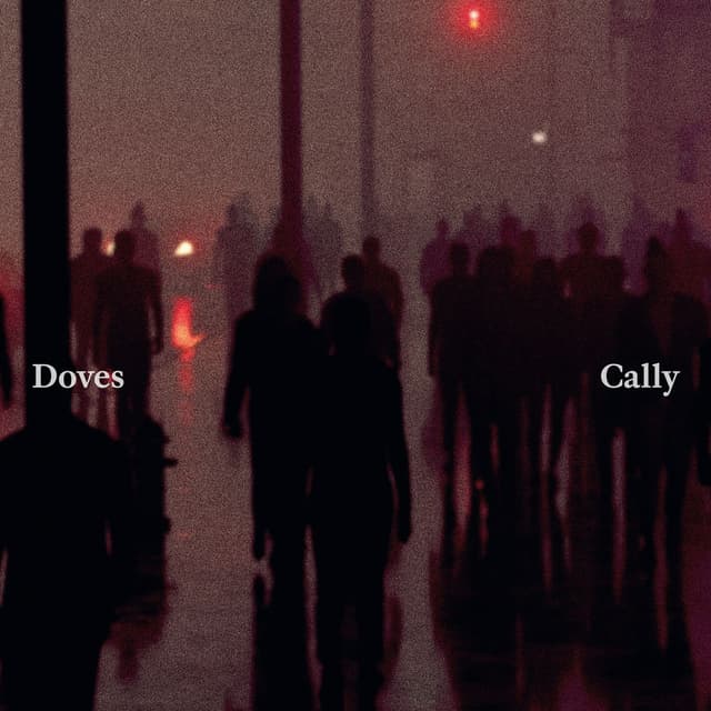 Cally cover