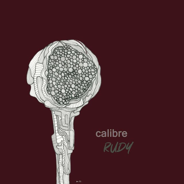 Rudy cover