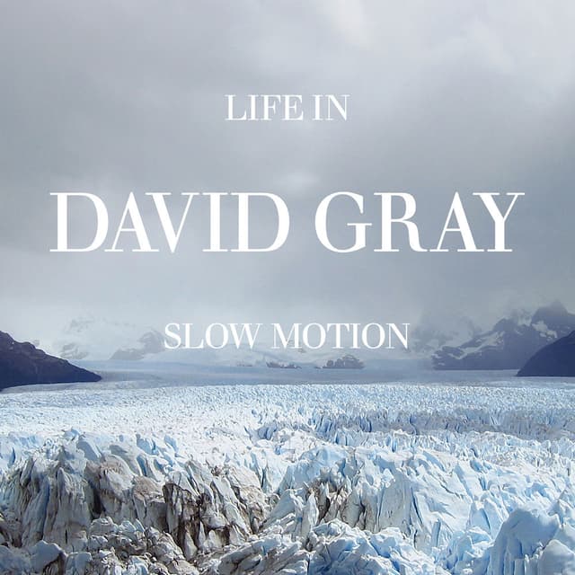 Life in Slow Motion album cover