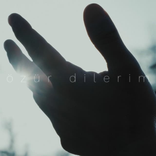 Özür Dilerim cover