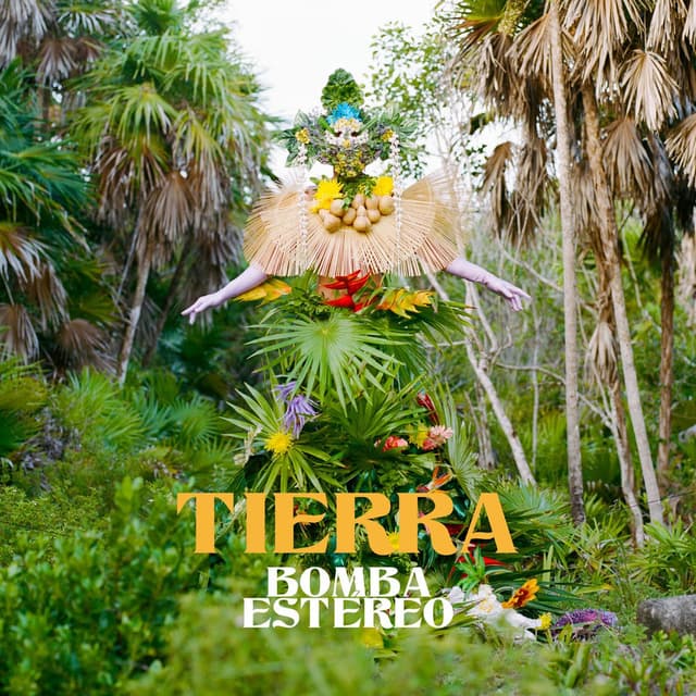 Tierra cover
