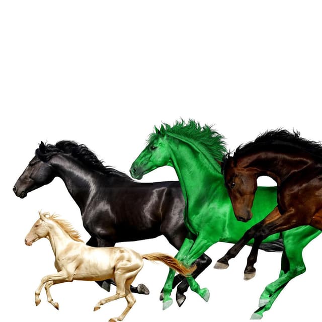 Old Town Road (feat. Billy Ray Cyrus, Young Thug & Mason Ramsey) (Remix) cover