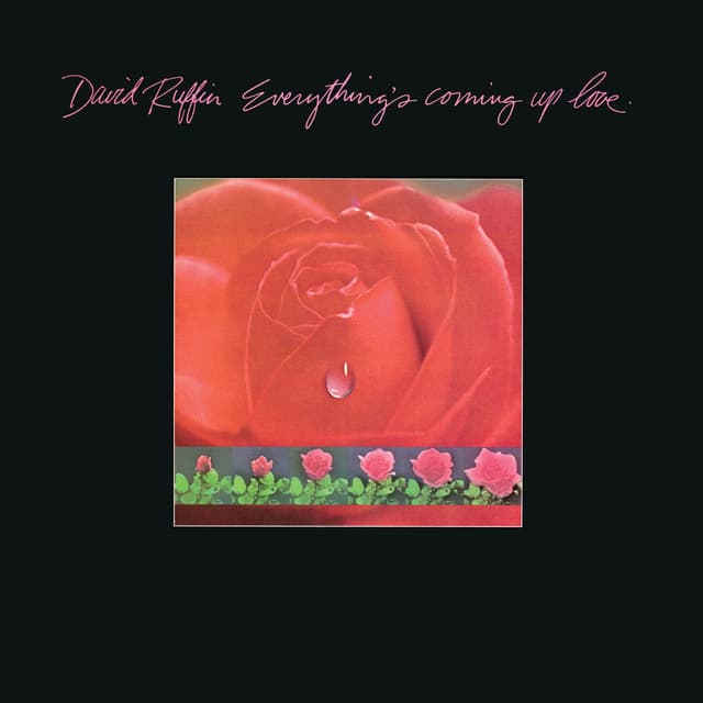 Everything's Coming Up Love cover