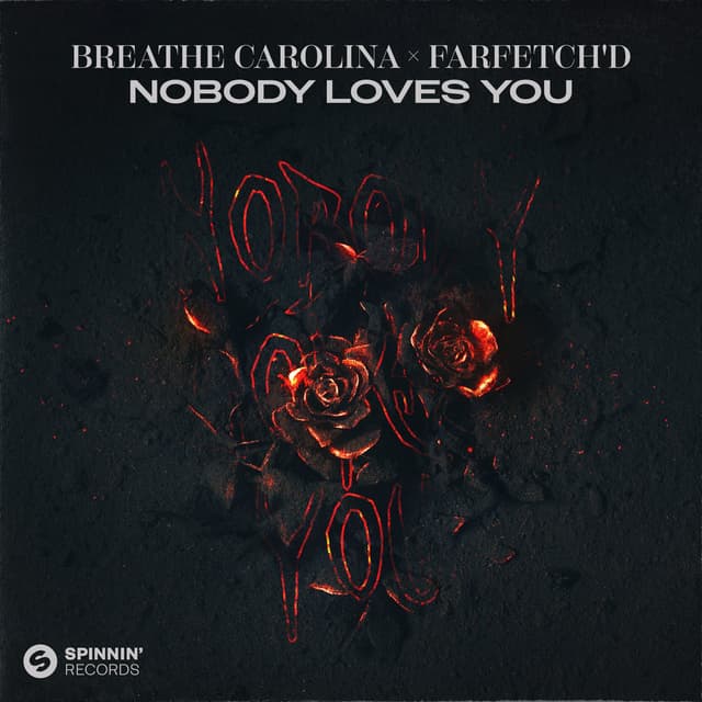 Nobody Loves You cover