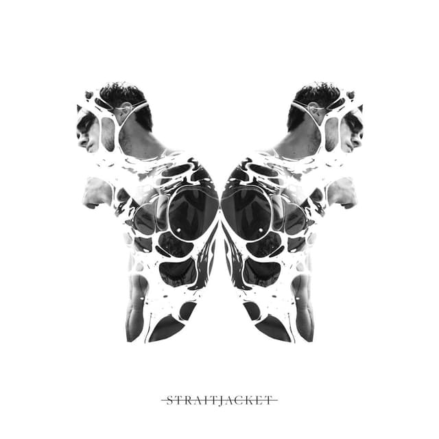 Straitjacket cover