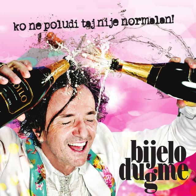 Ko ne poludi taj nije normalan! cover