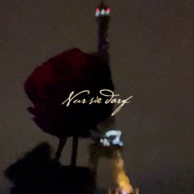 NUR SIE DARF cover