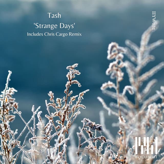 Strange Days cover