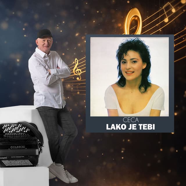 Lako je tebi cover