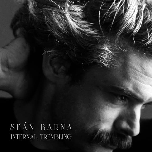 Internal Trembling cover