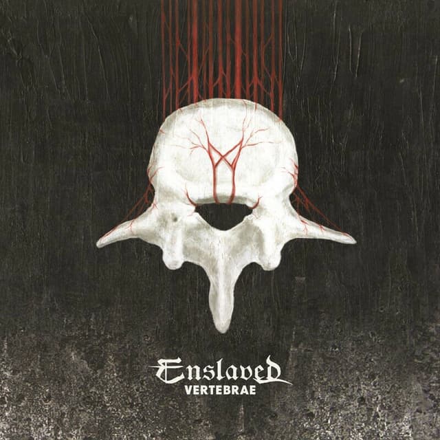Vertebrae cover