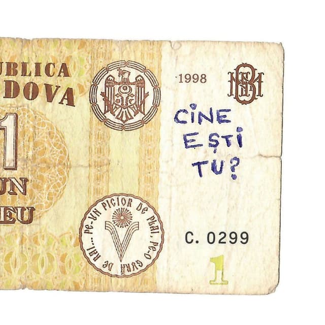 Cine Ești Tu? cover