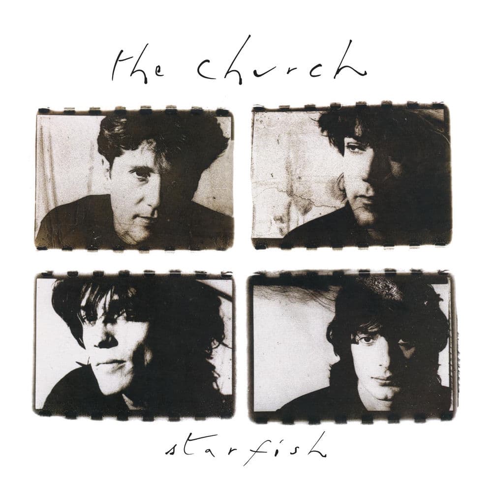 Starfish cover