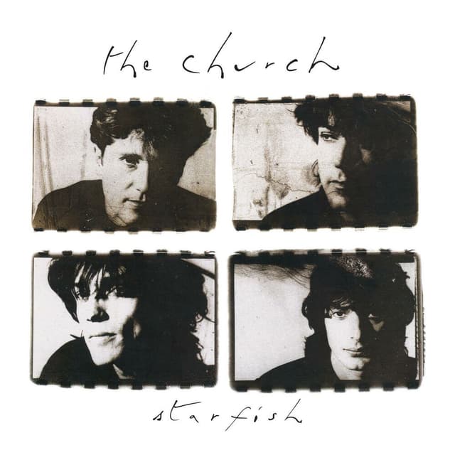 Starfish album cover