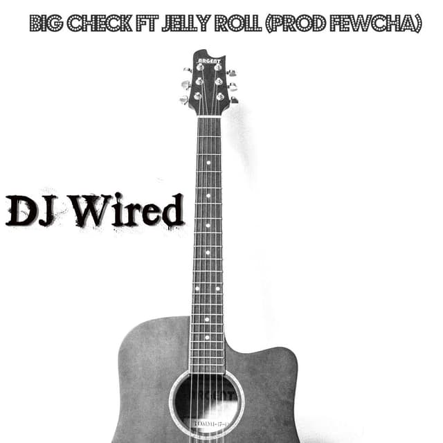 Big Check cover