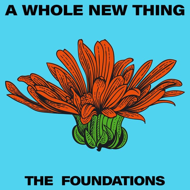 A Whole New Thing cover