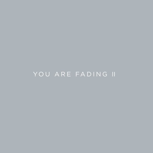 You Are Fading, Vol. 2 (Bonus Tracks 2005 - 2010) cover