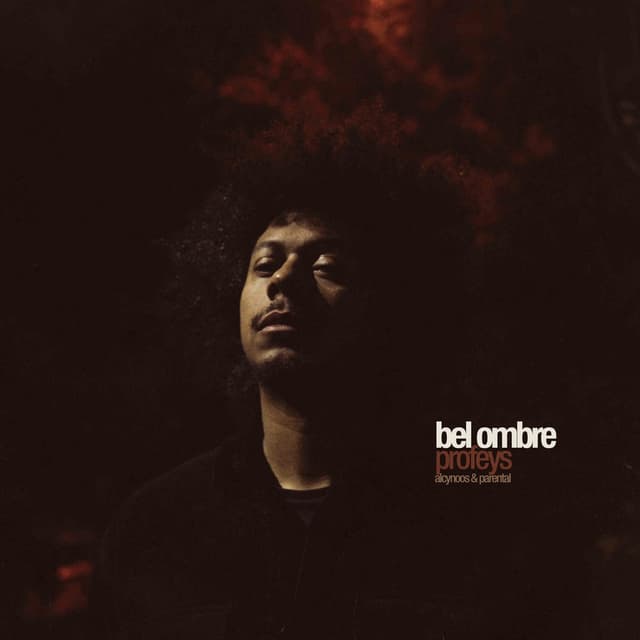Bel Ombre cover