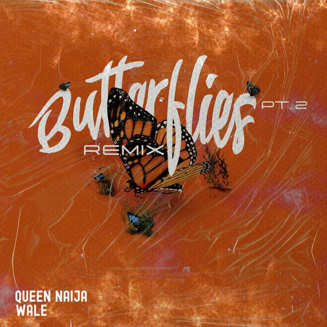 Butterflies Pt. 2 (Wale Remix) cover