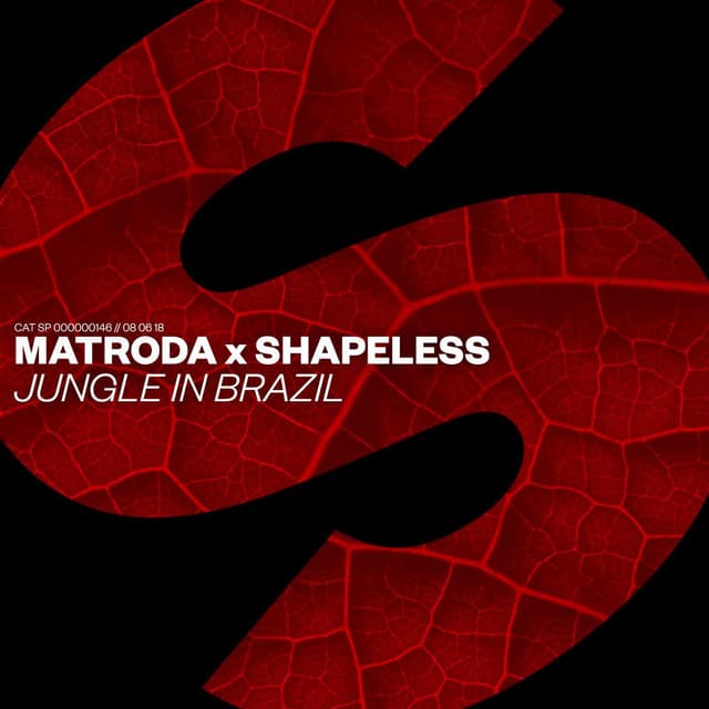 Jungle In Brazil (Extended Mix) cover