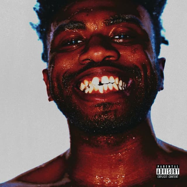 ARIZONA BABY cover
