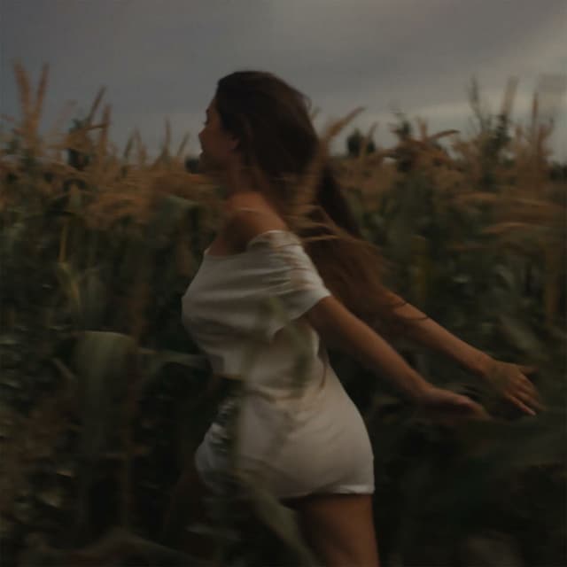 Silence Between Songs album cover