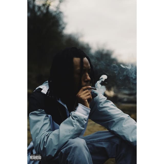 Just A Stoner Official Music Video in Desc cover