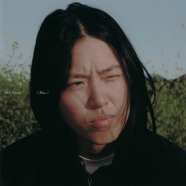Blue cover