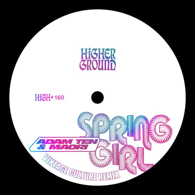 Spring Girl (Vintage Culture Remix) cover