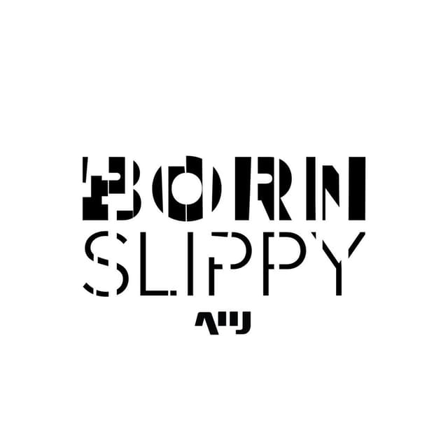 Born Slippy album cover